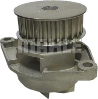 Wilmink Group WG2182041 - Water Pump car-mod.net