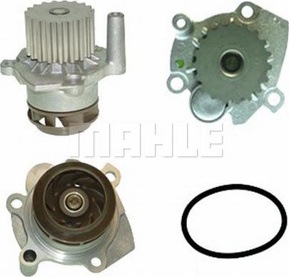 Wilmink Group WG2182004 - Water Pump car-mod.net
