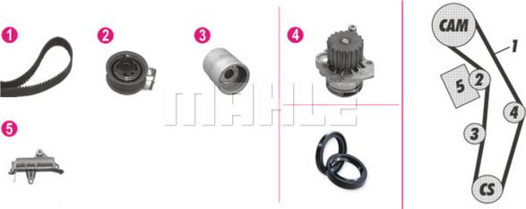 Wilmink Group WG2182209 - Water Pump & Timing Belt Set car-mod.net