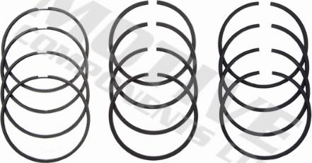 Wilmink Group WG2121648 - Piston Ring Kit car-mod.net