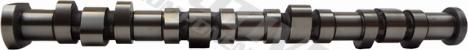 Wilmink Group WG2128247 - Camshaft car-mod.net