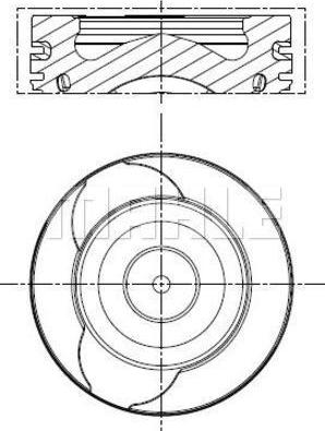 Wilmink Group WG2179629 - Piston car-mod.net