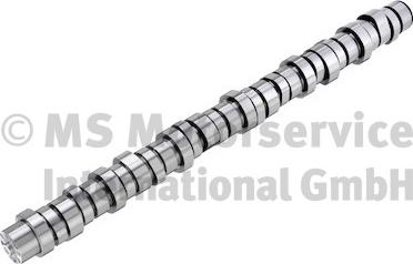 Wilmink Group WG2201490 - Camshaft car-mod.net
