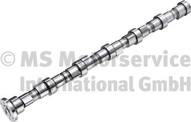 Wilmink Group WG2201497 - Camshaft car-mod.net