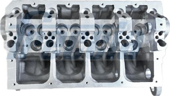 Wilmink Group WG2202909 - Cylinder Head car-mod.net