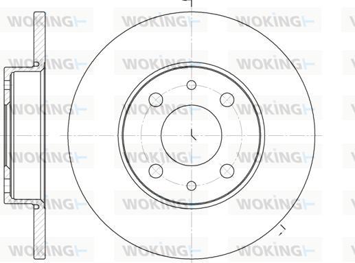 Woking D6110.01 - Brake Disc car-mod.net