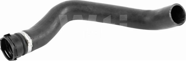 Wti Automotive T811580 - Radiator Hose car-mod.net