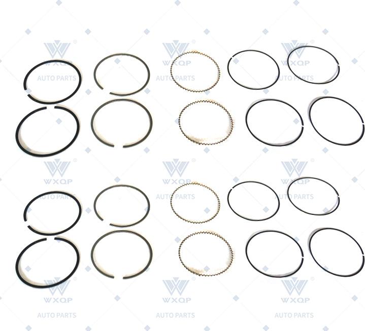 WXQP 530285 - Piston Ring Kit car-mod.net