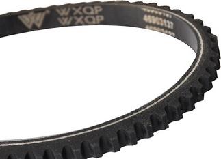 WXQP 10697 - Drive belt, V-Belt car-mod.net