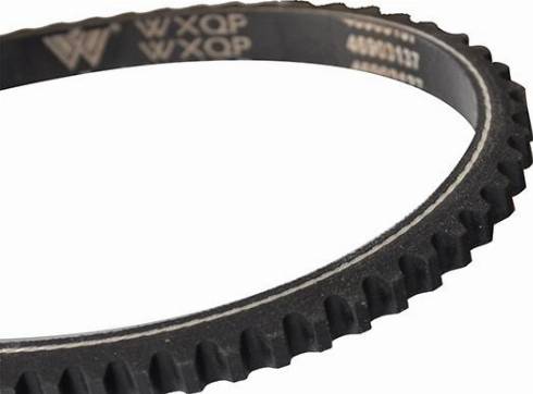 WXQP 10698 - Drive belt, V-Belt car-mod.net