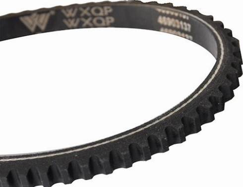 WXQP 10751 - Drive belt, V-Belt car-mod.net