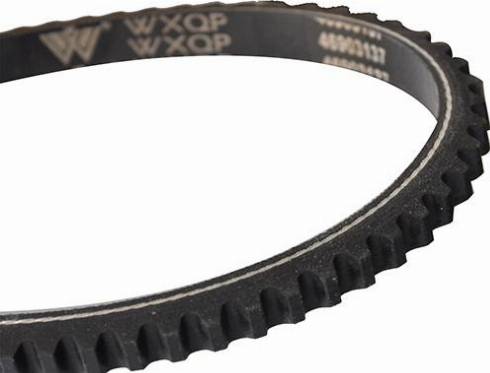 WXQP 10709 - Drive belt, V-Belt car-mod.net
