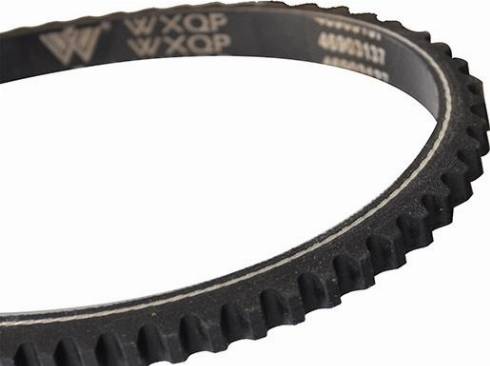 WXQP 10707 - Drive belt, V-Belt car-mod.net