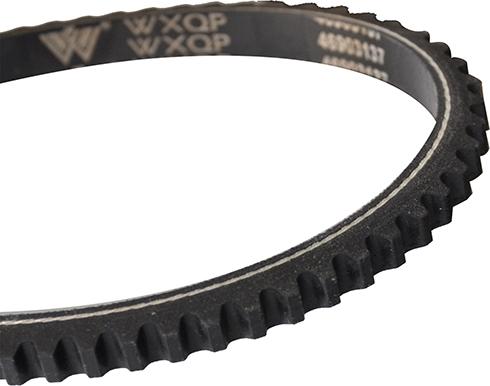 WXQP 10729 - Drive belt, V-Belt car-mod.net