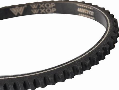 WXQP 10721 - Drive belt, V-Belt car-mod.net