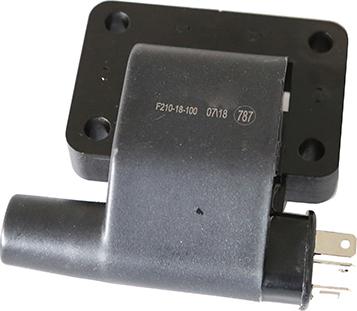 BOSCH F 005 X03 202 - Ignition Coil car-mod.net