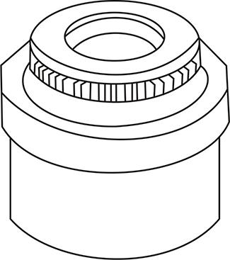 WXQP 313039 - Seal Ring, valve stem car-mod.net