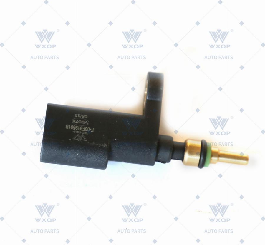 WXQP 321921 - Coolant temperature Sensor car-mod.net