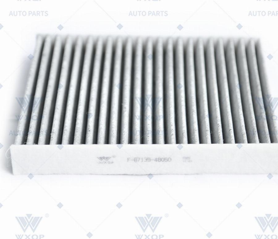 WXQP 20840 - Filter, interior air car-mod.net