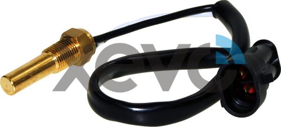 XEVO XTS8097 - Coolant temperature Sensor car-mod.net