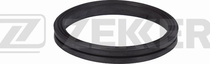 Zekkert DI-3005 - Timing Case Gasket, engine timing car-mod.net