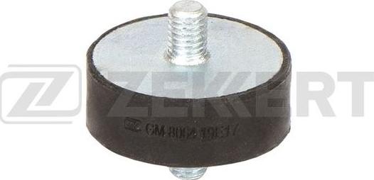Zekkert GM-8064 - Radiator Mounting car-mod.net