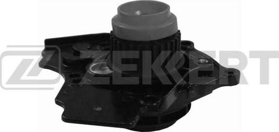 Zekkert WP-1017 - Water Pump car-mod.net