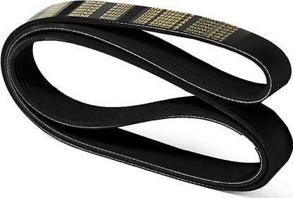 ZENTPARTS Z23016 - V-Ribbed Belt car-mod.net