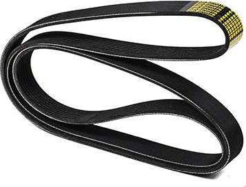 ZENTPARTS Z23082 - V-Ribbed Belt car-mod.net