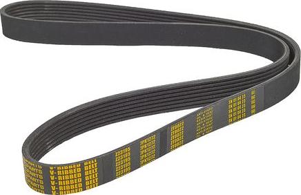 ZENTPARTS Z23195 - V-Ribbed Belt car-mod.net