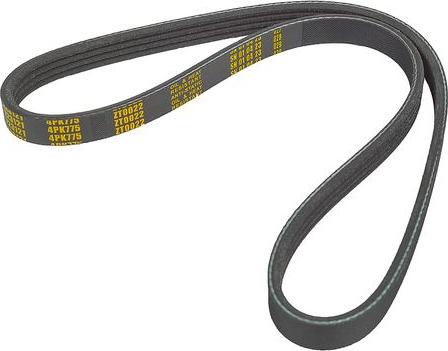 ZENTPARTS Z23121 - V-Ribbed Belt car-mod.net
