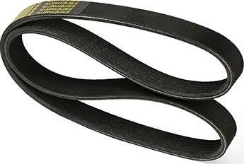 ZENTPARTS Z22578 - V-Ribbed Belt car-mod.net
