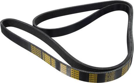ZENTPARTS Z22667 - V-Ribbed Belt car-mod.net