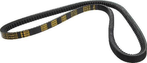 ZENTPARTS Z22807 - Drive belt, V-Belt car-mod.net